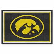 Iowa Rug, 6285-GR
