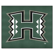 Hawaii Tailgater Rug 5'x6', 843