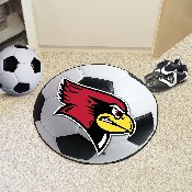 Illinois State Soccer Ball, 58