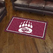 Montana Grizzlies 3ft. x 5ft. Plush Area Rug, 19779
