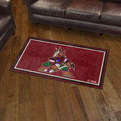 Arizona Coyotes 3ft. x 5ft. Plush Area Rug, 19894