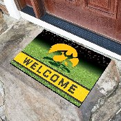 Iowa Hawkeyes Rubber Door Mat - 18in. x 30in., 19979