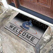 Vancouver Canucks Rubber Door Mat - 18in. x 30in., 21289