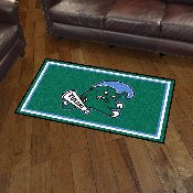 Tulane Green Wave 3ft. x 5ft. Plush Area Rug, 26995