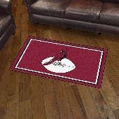 Arizona Cardinals 3ft. x 5ft. Plush Area Rug, NFL Vintage, 32572