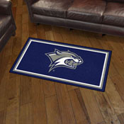 New Hampshire Wildcats 3ft. x 5ft. Plush Area Rug, 33259
