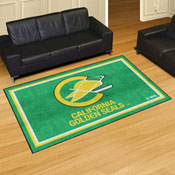 NHLRETRO California Golden Seals 5ft. x 8 ft. Plush Area Rug, 35816