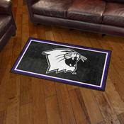 Northwestern Wildcats 3ft. x 5ft. Plush Area Rug - N Primary Logo, 36416