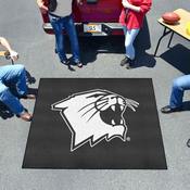 Northwestern Wildcats Tailgater Rug - 5ft. x 6ft. - N Primary Logo, 36426