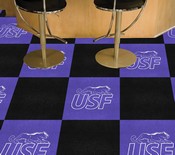 USF Cougars Cougars Team Carpet Tiles - 45 Sq Ft., 36772