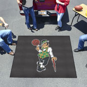 Boston Celtics Tailgater Rug - 5ft. x 6ft., 36880