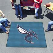 Charlotte Hornets Tailgater Rug - 5ft. x 6ft., 36898