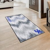 Kentucky Wildcats 3ft. x 5ft. Plush Area Rug - UK Wildcat Secondary Logo, 38165