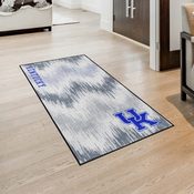 Kentucky Wildcats 4ft. x 6ft. Plush Area Rug - UK Wildcat Secondary Logo, 38166