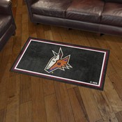 Arizona Coyotes Plush Area Rug, AGS-38497