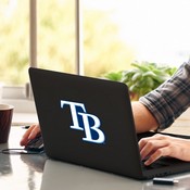 Tampa Bay Rays Matte Decal Sticker, 39172