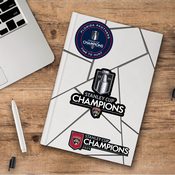 Florida Panthers 2024 Champions 3 Piece Decal Sticker Set, 44463