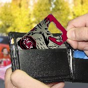 South Carolina Gamecocks Credit Card Style Bottle Opener - 2 x 3.25, 62586