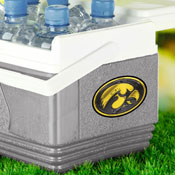 Iowa Hawkeyes 3D Decal Sticker, 62813