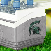 Michigan State Spartans 3D Decal Sticker, 62821