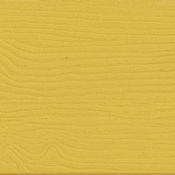 Charlestown Set of 2 All-Weather Poly Resin Wood Adirondack Chairs in Yellow with Cream Cushions for Deck, Porch, and Patio, 2-JJ-C14501-CSNCR-YLW-GG