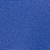 2 Pk. HERCULES Series 650 lb. Capacity Blue Plastic Fan Back Folding Chair, 2-LE-L-4-BL-GG