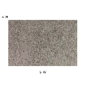 Slide-Stop Multi-Surface Reversible Non-Slip Cushion Rug Pad, 1/4" Thick, Floor Protection, for 4'x6' Area Rug, Gray, AF-A110406F-46-GR-GG