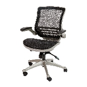 Mid-Back Transparent Black Mesh Executive Swivel Office Chair with Graphite Silver Frame and Flip-Up Arms, BL-8801X-BK-GR-GG