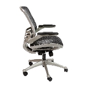 Mid-Back Transparent Black Mesh Executive Swivel Office Chair with Graphite Silver Frame and Flip-Up Arms, BL-8801X-BK-GR-GG