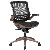 Mid-Back Transparent Black Mesh Executive Swivel Office Chair with Melrose Gold Frame and Flip-Up Arms, BL-8801X-GG