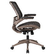 Mid-Back Transparent Black Mesh Executive Swivel Office Chair with Melrose Gold Frame and Flip-Up Arms, BL-8801X-GG