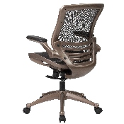 Mid-Back Transparent Black Mesh Executive Swivel Office Chair with Melrose Gold Frame and Flip-Up Arms, BL-8801X-GG