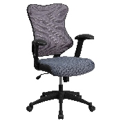 High Back Designer Gray Mesh Executive Swivel Ergonomic Office Chair with Adjustable Arms, BL-ZP-806-GY-GG