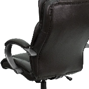 High Back Espresso Brown LeatherSoft Executive Swivel Office Chair with Titanium Nylon Base and Loop Arms, BT-9088-BRN-GG