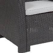 Dark Gray Faux Rattan Chair with All-Weather Light Gray Cushion, DAD-SF2-1-DKGY-GG