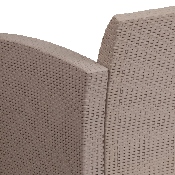 Light Gray Faux Rattan Chair with All-Weather Light Gray Cushion, DAD-SF2-1-GG
