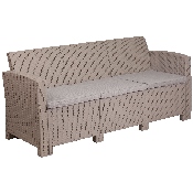 Light Gray Faux Rattan Sofa with All-Weather Light Gray Cushions, DAD-SF2-3-GG