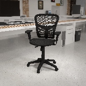 Mid-Back Transparent Black Mesh Multifunction Executive Swivel Ergonomic Office Chair with Adjustable Arms, HL-0001T-GG