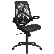 High Back Transparent Black Mesh Executive Ergonomic Office Chair with Adjustable Lumbar, 2-Paddle Control & Flip-Up Arms, HL-0013T-GG