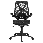 High Back Transparent Black Mesh Executive Ergonomic Office Chair with Adjustable Lumbar, 2-Paddle Control & Flip-Up Arms, HL-0013T-GG