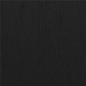 Sawyer Modern All-Weather Poly Resin Wood Adirondack Chair in Black, JJ-C14509-BK-GG