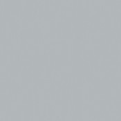 Finn Modern All-Weather 2-Slat Poly Resin Wood Rocking Adirondack Chair with Rust Resistant Stainless Steel Hardware in Gray, JJ-C14709-GY-GG