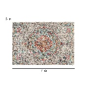 Distressed Medallion Area Rug - 5' x 7' - Gray Multi Polyester, RC-EG-202101-02-57-GR-GG