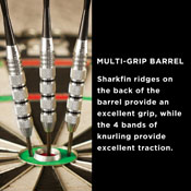Viper Silver Thunder Steel Tip Darts 22 Grams, 22-0522-22