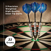 Viper Silver Thunder Steel Tip Darts 22 Grams, 22-0522-22