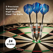 Viper Silver Thunder Steel Tip Darts 24 Grams, 22-0524-24