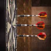 Viper The Freak Steel Tip Darts Knurled and Grooved Barrel 22 Grams, 22-1704-22