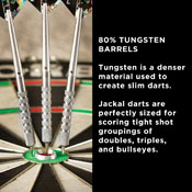 Viper Jackal Tungsten Steel Tip Darts In Wallet 24gm, 23-2824-24