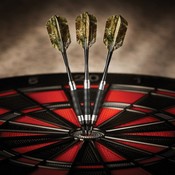 Fat Cat Realtree Xtra Soft Tip Darts 16Gm, 26-1425
