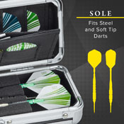 Casemaster Sole Aluminum Dart Case, 36-0403-01